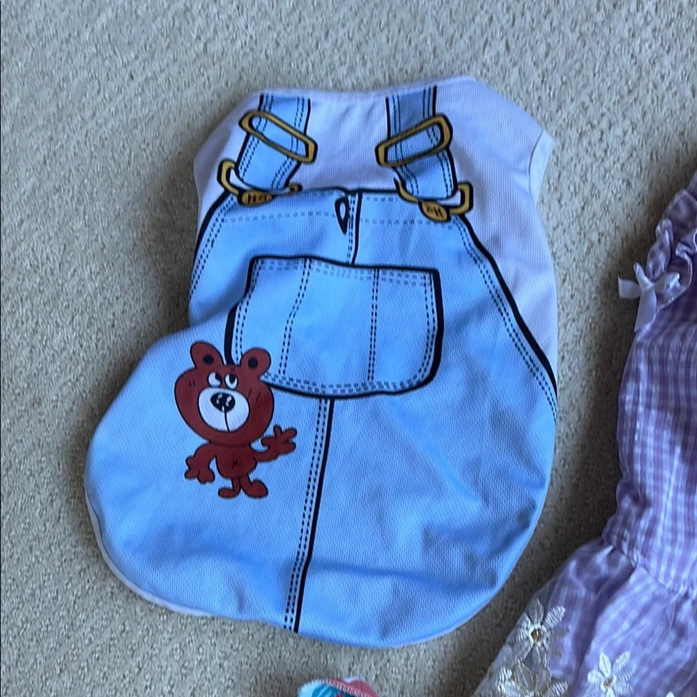 Bundle of Assorted Dog Dresses and Outfits